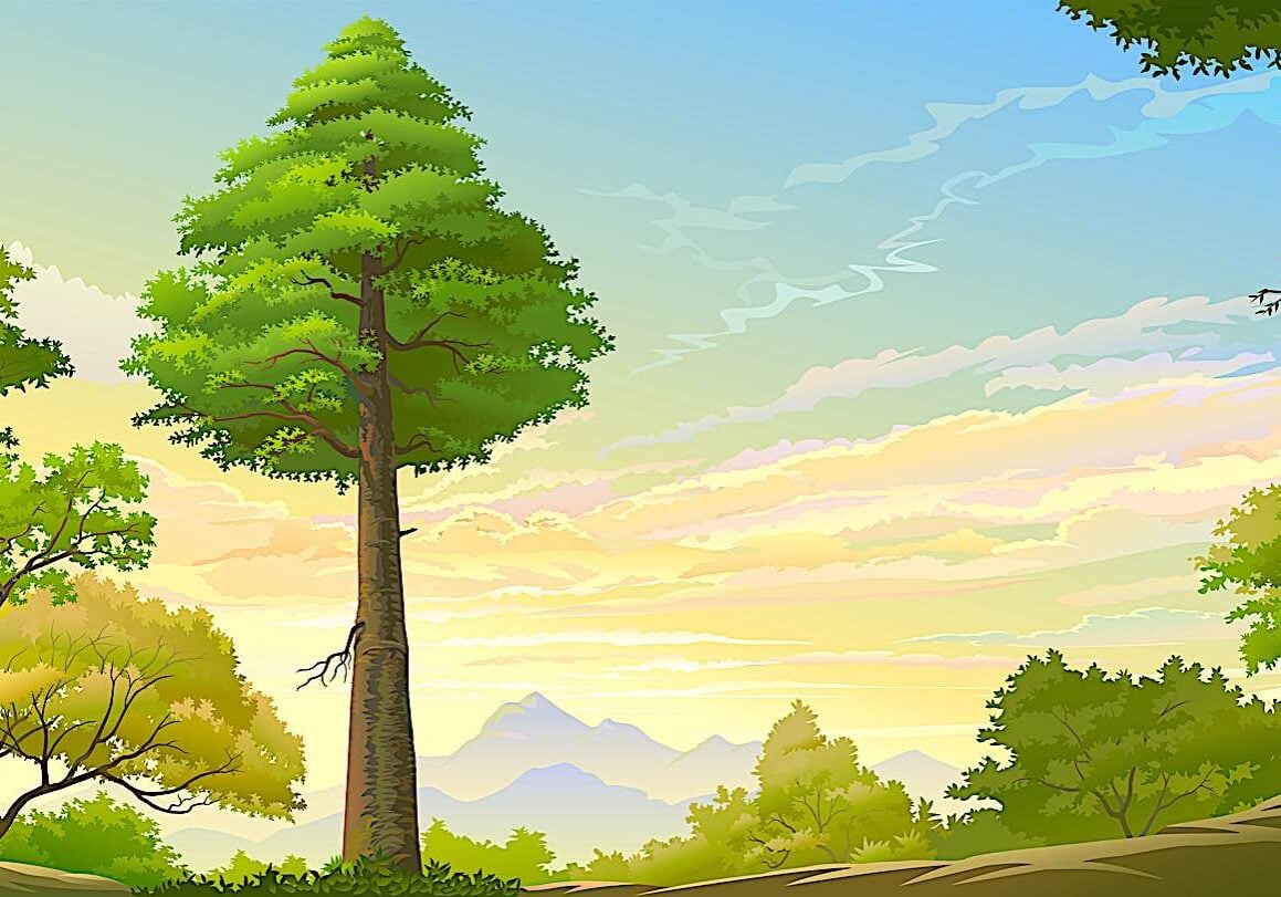 Buddha-Weekly-Large tree forest plants metaphor chapter 5 Lotus Sutra Buddhism dreamstime_l_181663491-Buddhism In Lotus Sutra, chapter 5, Buddha tells the Parable of the Medicinal Plants and the trees.
