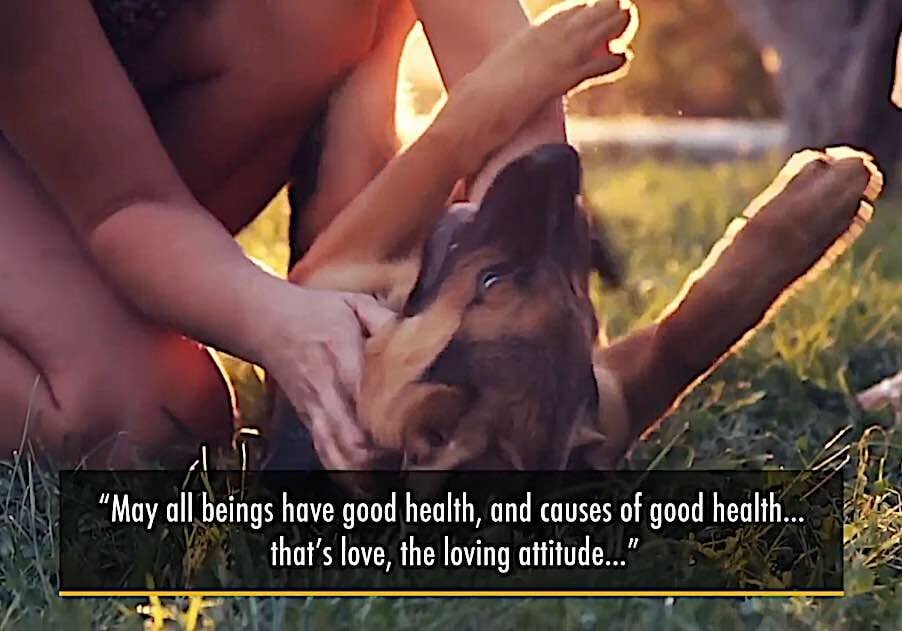 Buddha-Weekly-Medicine Buddha May all beings have good health love immeasurable-Buddhism Buddha-Weekly-Medicine Buddha May all beings have good health love immeasurable-Buddhism