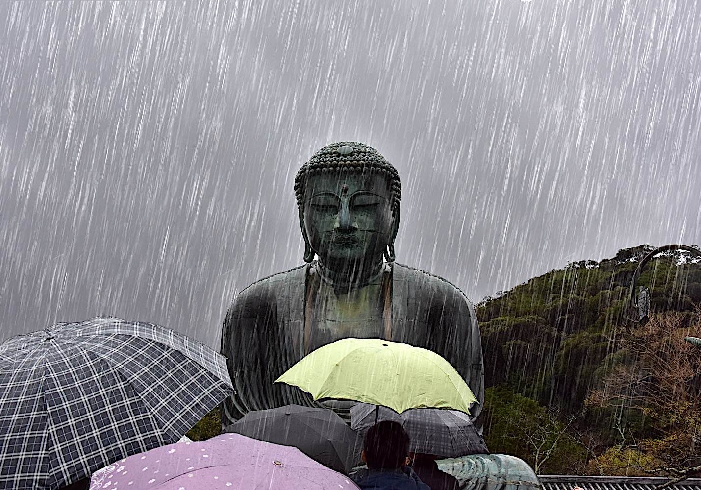 Buddha-Weekly-Rainy Day at Buddha of Kamakura dreamstime_l_163143585-Buddhism Buddha of Kamakura on a rainy day.