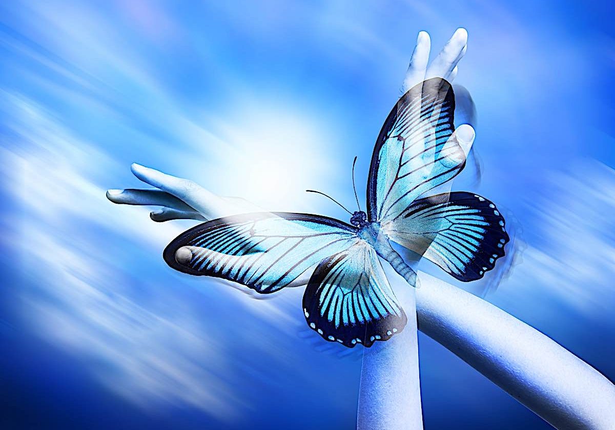 Buddha-Weekly-Self Rebirth Blue Butterfly-Buddhism Rebirth is often symbolized with the metaphor of a butterfly. The Blue Morpho — one of the world’s most beautiful butterflies — with its iridescent blue color — is also one of the largest, with up to an eight-inch massive wingspan. Butterflies are one of the most common symbols of reincarnation around the world. It is the symbol used for the logo of our "sister" publication True Rebirth>>