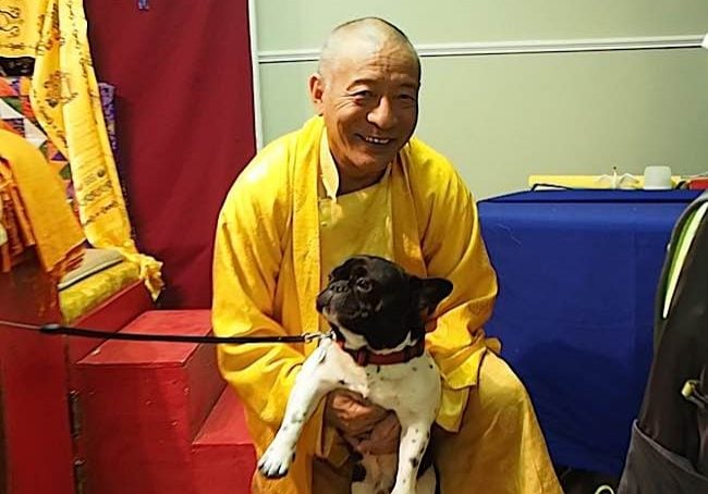 Buddha-Weekly-Zasep Rinpoche blesses dog after La Gug retreat-Buddhism Venerable Zasep Tulku Rinpoche blessed this dog at the end of a Medicine Buddha Retreat in Owen Sound in April 2016. After the event he played with the fifteen-month old pup. Zasep Rinpoche teaches, "We must not hurt other people and animals."