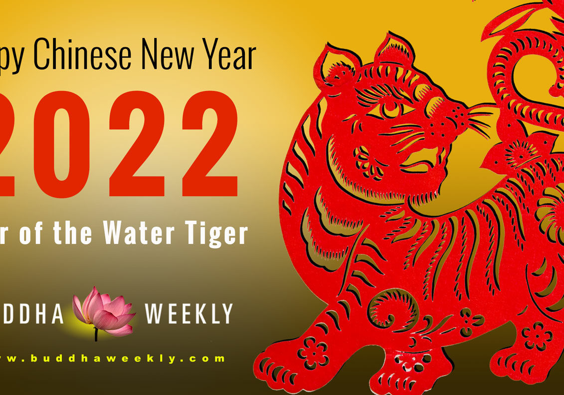 chinese-new-year-2022 Buddha Weekly Year of the Water Tiger Happy Chinese New Year 2022 Year of the Water Tiger from your friends the Editors, Writers, Video Editors, and Designers at Buddha Weekly! May you have an auspicious, healthy, happy year!
