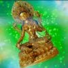 green tara Screenshot 1 low