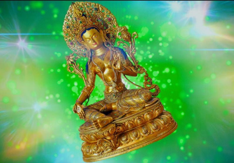 green-tara-Screenshot-1-low green-tara-Screenshot-1-low