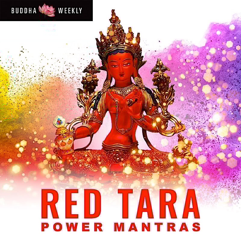 Red-Tara-collection-2