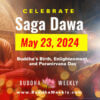 Saga Dawa collage 2024 3