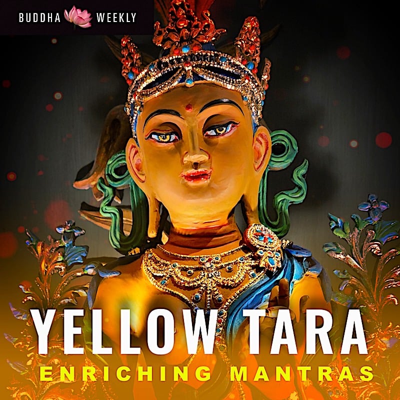 Yellow-Tara-collection